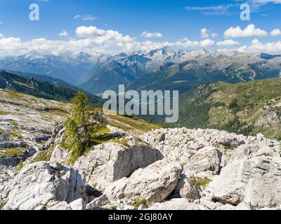 Blick über das Val Rendena in Richtung Adamello-Gruppe. Die Brenta-Dolomiten, UNESCO-Weltkulturerbe. Italien, Trentino, Val Rendena Stockfoto