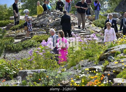 TromsÃ– 2013-06-19 König Carl XVI Gustaf, Königin Silvia von Schweden und König Harald und Königin Sonja von Norwegen, besucht die Stadt Tromso, arktischen botanischen Garten Nordnorwegen 19. Juni 2013. Die schwedischen Royals sind auf Einladung von König Harald von Norwegen zu einem offiziellen Besuch. Foto anders Wiklund / SCANPIX / kod 10040 Stockfoto