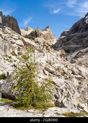 Bocca del Tuckett und Cima Sella. Die Brenta-Dolomiten, UNESCO-Weltkulturerbe. Italien, Trentino, Val Rendena Stockfoto