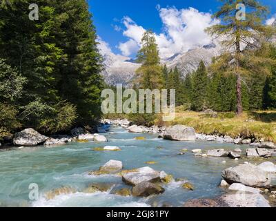 Fluss Sarca. Val di Genova im Parco Naturale Adamello, Brenta, Trentino, Italien, Val Rendena Stockfoto