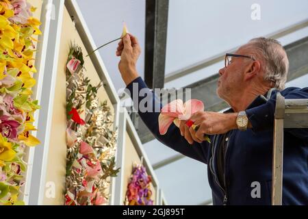 Europa, Niederlande, Holland. Der Gärtner stellt Orchideen in den Keukenhof Gärten aus. Kredit als: Wendy Kaveney / Jaynes Gallery / DanitaDelimont.com Stockfoto