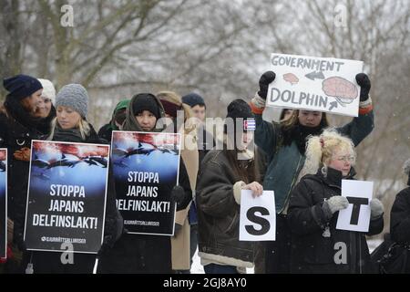 STOCKHOLM 20140123 Eine von der schwedischen Tierrechtsallianz organisierte Demonstration vor der japanischen Botschaft in Stockholm am Donnerstag, den 23. Januar 2014. Japan ist das Land, in dem die weltweit größte Zahl von Delfinen und Walen getötet wird. Ende der vergangenen Woche wurden in der Stadt Taiji, die nach dem Dokumentarfilm „The Cove“ berüchtigt ist, rund 250 große Tümmler zusammengetrieben und gefangen genommen. Das Schicksal der dolphinsÂ wird entweder an ein Delfinarium verkauft oder geschlachtet. Foto Bertil Enevag Ericson / TT / kod 10000 Stockfoto