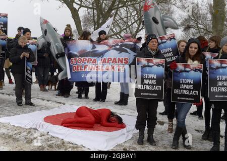 STOCKHOLM 20140123 während einer Demonstration der schwedischen Tierrechtsallianz vor der japanischen Botschaft in Stockholm am Donnerstag, dem 23. Januar 2014, liegt ein in roter Farbe gemalter Aktivist auf der japanischen Flagge. Japan ist das Land, in dem die weltweit größte Zahl von Delfinen und Walen getötet wird. Ende der vergangenen Woche wurden in der Stadt Taiji, die nach dem Dokumentarfilm „The Cove“ berüchtigt ist, rund 250 große Tümmler zusammengetrieben und gefangen genommen. Das Schicksal der dolphinsÂ wird entweder an ein Delfinarium verkauft oder geschlachtet. Foto Bertil Enevag Ericson / TT / kod 10 Stockfoto