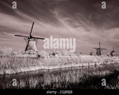 Niederlande, Kinderdijk. Windmühlen bei Sonnenuntergang in Kinderdijk Stockfoto