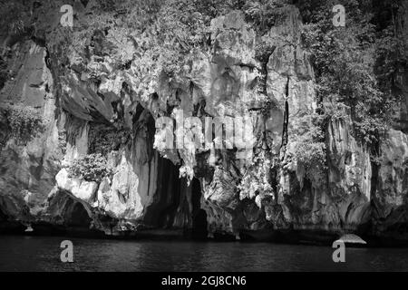 Landschaften Wasserfall Schwarzandweiße Blätter Stockfoto