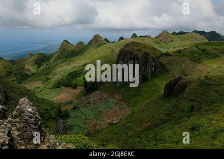 Landschaften Wasserfall Schwarzandweiße Blätter Stockfoto