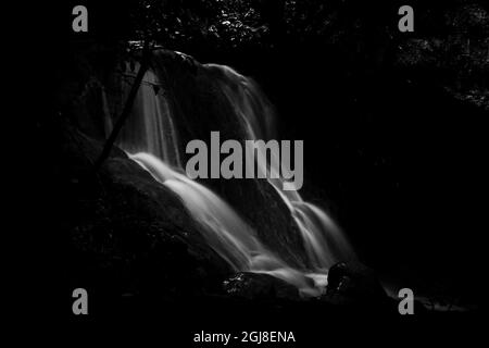 Landschaften Wasserfall Schwarzandweiße Blätter Stockfoto