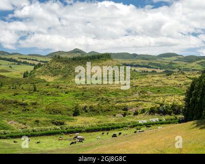 Landschaft im Inneren der Insel in der Nähe von Gruta do Natal. Terceira Island, Azoren, Portugal. Stockfoto