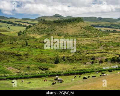 Landschaft im Inneren der Insel in der Nähe von Gruta do Natal. Stockfoto