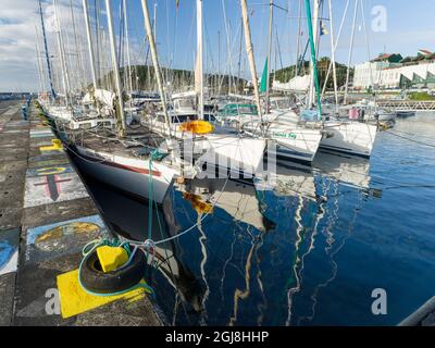 Der Yachthafen mit den berühmten Zeichnungen und Gemälden von Seeleuten, ein Wahrzeichen von Horta. Horta, die Hauptstadt von Faial. Faial Island, eine Insel auf den Azoren Stockfoto