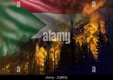 Waldbrandbekämpfungskonzept, Naturkatastrophe - flammendes Feuer im Wald auf Hintergrund der sudanesischen Flagge - 3D-Darstellung der Natur Stockfoto