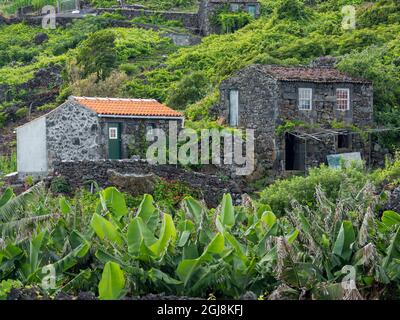 Dorf Calheta de Nesquim, kleine traditionelle Weinberge mit Gebäude für die Weinernte und Lagerung. Pico Island, eine Insel auf den Azoren im Atlant Stockfoto