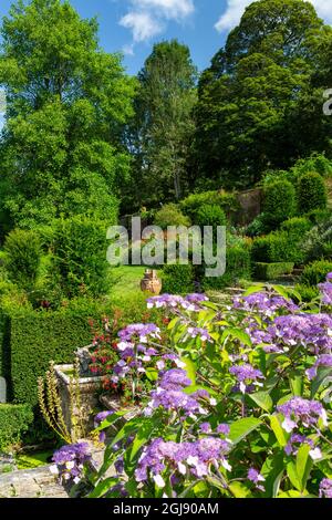 Die farbenfrohen Grenzen und das Topiary im italienischen Fountain Court Garten im Mapperton House, Dorset, England, Großbritannien Stockfoto