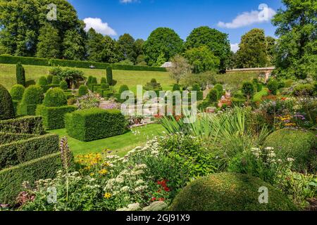 Die farbenfrohen Grenzen und das Topiary im italienischen Fountain Court Garten im Mapperton House, Dorset, England, Großbritannien Stockfoto