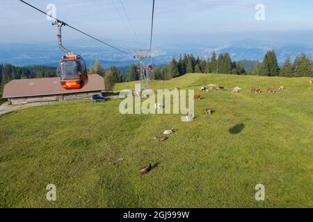 Gondelfahrt auf den Mt. Pilatus in Luzern, Schweiz. Stockfoto