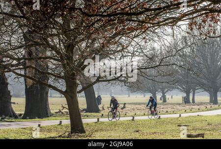 Radfahrer im Richmond Park, London, Großbritannien, einem beliebten Fahrradtrainingsgebiet. Stockfoto