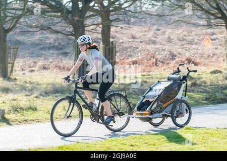 Radfahrer im Richmond Park, London, Großbritannien, einem beliebten Fahrradtrainingsgebiet. Stockfoto