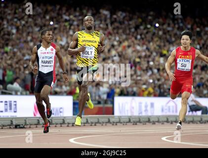 PEKING 20150823 Jak Ali Harvey aus der Türkei, Usain Bolt aus Jamaika und Bingtan Su aus China während des Halbfinales der Männer über 100 Meter bei der IAAF-Weltmeisterschaft 2015 in Peking im Nationalstadion in Peking, China, 23. August 2015. Foto: Jessica Gow / TT / Kod 10070 Stockfoto