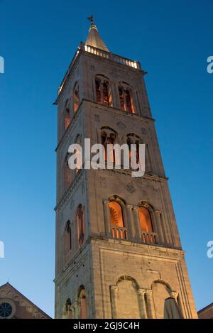 Kroatien, Zadar. Glockenturm Kathedrale von St. Anastasia in der Dämmerung (größte Kirche in Dalmatien). Stockfoto