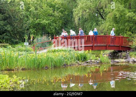 Europa, Kroatien Zagreb. Botanischer Garten rote Brücke über Seerosenteich Stockfoto