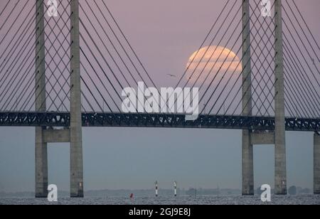 MALMO 2015-09-28 die Supermondfinsternis wird mit der Oresunds-Brücke in Malmö, Schweden, am 28. September 2015 gesehen. Foto Johan Nilsson / TT / Kod 50090 Stockfoto