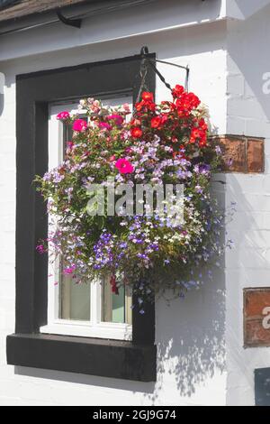 Ein hängender Blumentopf im Dorf Gretna Green, Schottland. Stockfoto