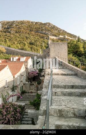 Stadtmauer und Gasse in Ston (Pelješac, Dalmatien, Kroatien) Stockfoto