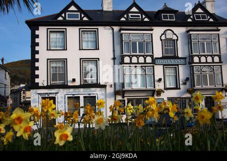 Vereinigtes Königreich, Wales, Aberdyfi. The Dovey Inn, Aberdovey, Wales. Stockfoto