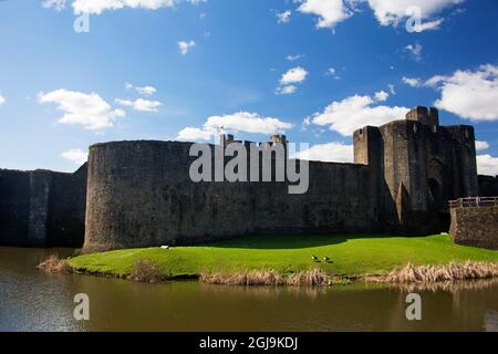 Vereinigtes Königreich, Wales, Caerphilly. Caerphilly Castle Graben, Wales. Stockfoto