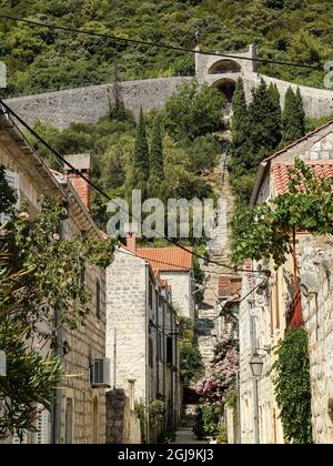 Stadtmauer und Gasse in Ston (Pelješac, Dalmatien, Kroatien) Stockfoto