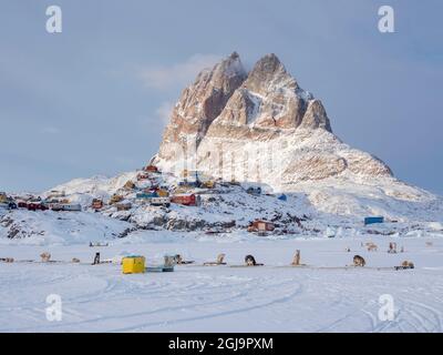 Team von Schlittenhund im Winter in Uummannaq in Grönland. Hundeteams sind Zugtiere für die Fischer und bleiben den ganzen Winter auf dem Meereis des Fjors Stockfoto