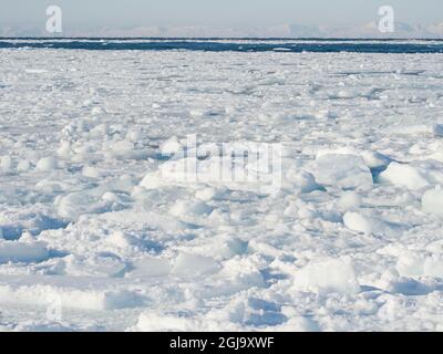 Gefrorene Disko Bay im Winter, Westgrönland, Dänemark Stockfoto