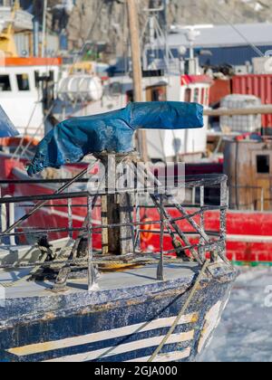 Kanone zum Abfeuern von Harpunen zum Walfang. Winter im gefrorenen Hafen der Stadt Ilulissat am Ufer der Disko Bay. Grönland, Dänemark. (Redaktionelle Verwendung Auf Stockfoto