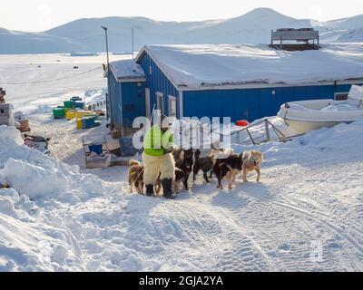 Zurück von der Jagd. Der Jäger trägt eine traditionelle Hose aus Eisbärenpelz. Das traditionelle und abgelegene grönländische Inuit-Dorf Kullorsu Stockfoto