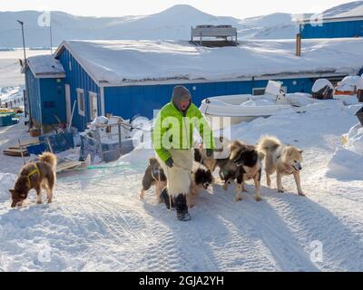 Zurück von der Jagd. Der Jäger trägt eine traditionelle Hose aus Eisbärenpelz. Das traditionelle und abgelegene grönländische Inuit-Dorf Kullorsu Stockfoto