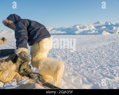 Springen auf dem Schlitten. Inuit Jäger in traditionellen Hosen und Stiefeln aus Eisbärenfell auf dem Meereis der Melville Bay bei Kullorsuaq Stockfoto