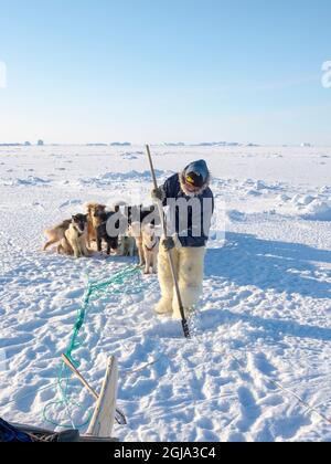 Inuit Jäger trägt traditionelle Hosen und Stiefel aus Polar Bärenfell macht sein Lager auf dem Meereis Der Melville Bay in der Nähe von Kullorsuaq Stockfoto