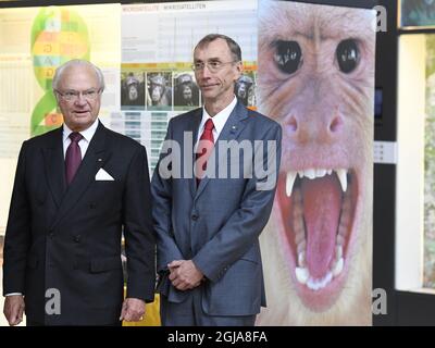 LEIPZIG 20161008 Schwedens König Carl Gustaf besucht am Samstag, den 08. Oktober 2016, das Max-Planck-Institut für evolutionäre Anthropologie in Leipzig, am letzten Tag des viertägigen Staatsbesuchs der königlichen Paare in Deutschland. Professor Svante Paabo und Kollegen zeigen auf der Premesis. Foto Jonas Ekstromer / TT / Code 10030 Stockfoto