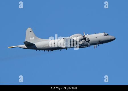 Cutlass Fury 2021 Trainingsübung, Ein CP-140 Aurora , ein maritimes Patrouillenflugzeug, das von der Royal Canadian Air Force betrieben wird, nimmt an der Übung Teil Stockfoto
