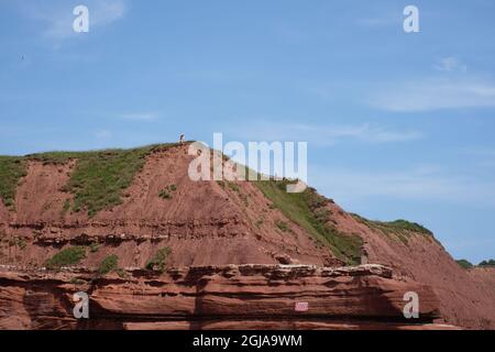 Eine Frau sitzt am Rande der instabilen roten Sandsteinfelsen von Orcombe Point. Ein Warnschild ist an der Felswand unten sichtbar. Exmouth, Devon. Stockfoto