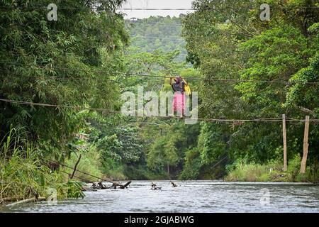 Luwu, Indonesien. September 2021. Ein Bewohner überquert einen Fluss mit einer schwer beschädigten Brücke in Malela.Obwohl es gefährlich ist, wird die von der Flut beschädigte Brücke jeden Tag von den Bewohnern genutzt, um die Fahrtzeit zu anderen Dörfern zu reduzieren. (Foto: Hariandi Hafid/SOPA Images/Sipa USA) Quelle: SIPA USA/Alamy Live News Stockfoto