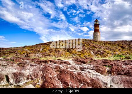 Argentinien, Santa Cruz. Puerto Deseado, Penguin Island. Stockfoto