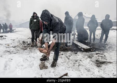 BELGRAD 2017-01-11 Flüchtlinge aus hauptsächlich Afghanistan und Pakistan in einem Flüchtlingslager in Belgrad, Serbien, 11. Januar 2017 Foto: Lars Pehrson / SVD / TT / Kod: 30152 ** OUT SWEDEN Stockfoto