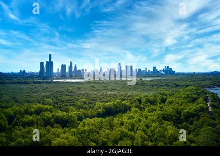 Argentinien, Buenos Aires, Skyline des Stadtteils Puerto Madero vom Naturpark Reserva Ecologica aus gesehen Stockfoto