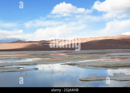 Chile, Atacama-Wüste, Nationalpark Los Flamencos. Ein Blick auf die von Flüssen, Salzseen und weiten Ebenen übersäte Region, die in pastellfarbenes Licht getaucht ist Stockfoto