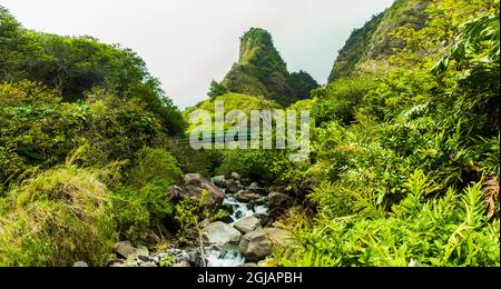 Die üppigen Hänge der IOA Needle und des IOA Stream, IOA Needle Valley State Monument, Maui, USA Stockfoto