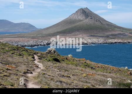 Falkland-Inseln, West-Falklands, Jason-Inseln, Kirchturm Jason. Heimat der größten Schwarzbrauen-Albatrosskolonie in den Falklands. Stockfoto