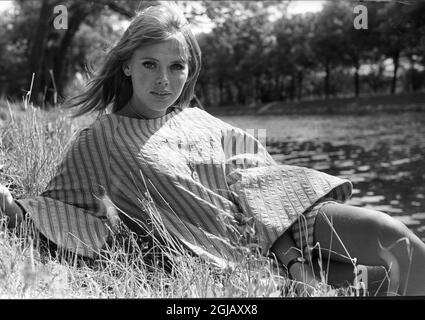 ARKIV 1967 - Britt Ekland posiert für den Fotografen in Stockholm Swden Foto: Lennart Edling Kod: 3012 SCANPIX SWEDEN Stockfoto