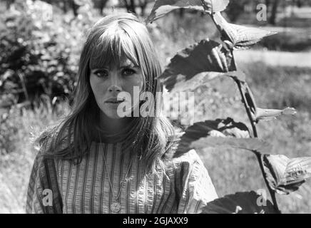 ARKIV 1967 - Britt Ekland posiert für den Fotografen in Stockholm Swden Foto: Lennart Edling Kod: 3012 SCANPIX SWEDEN Stockfoto