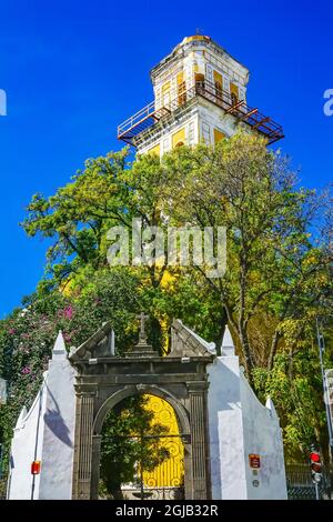 Torfassade Bäume Templo de San Agustin Kirche Puebla, Mexiko. Jesuitenkirche erbaut 1555 bis 1612 Stockfoto